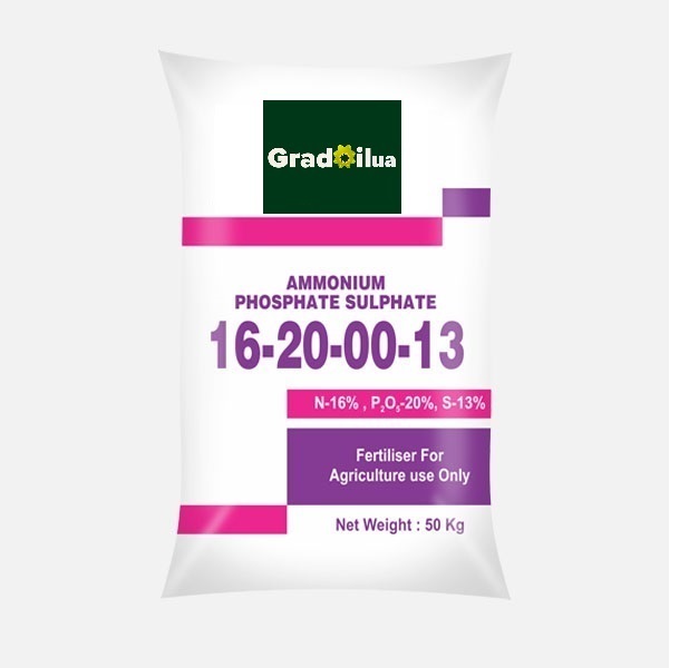 Ammonium Phosphate Sulphate – 16:20:00