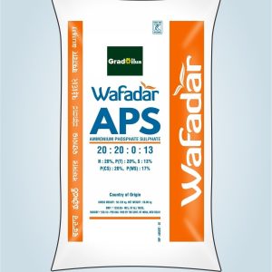 Ammonium Phosphate Sulphate – 20:20:00:13