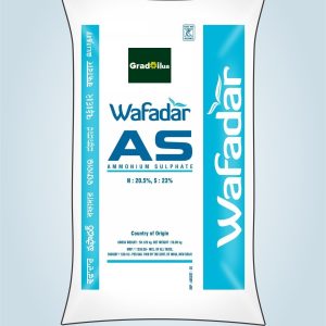 Ammonium Sulphate – 20.6% N, 23% S