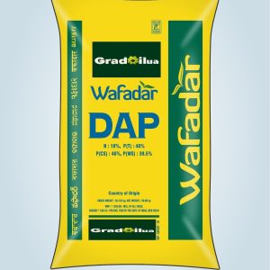 Diammonium Phosphate – 18:46:00