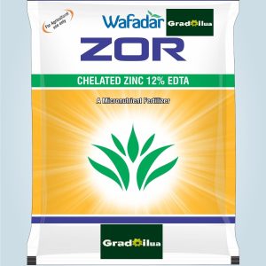 ZOR – 12% EDTA